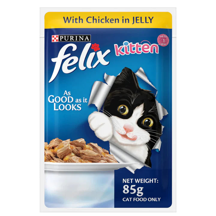 purina cat and dog food