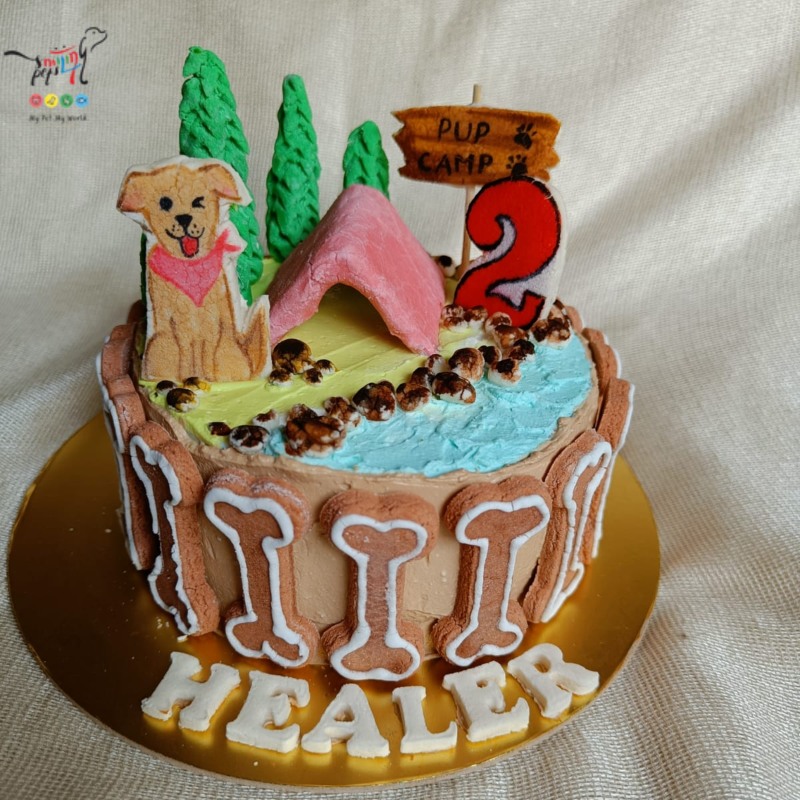 Camping Theme Birthday Cake for Dog