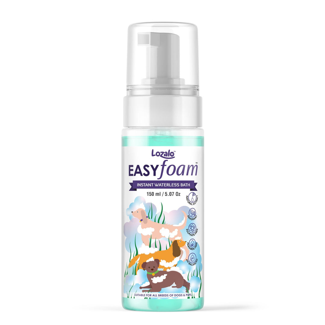 Lozalo Easy Shampoo Shampoo