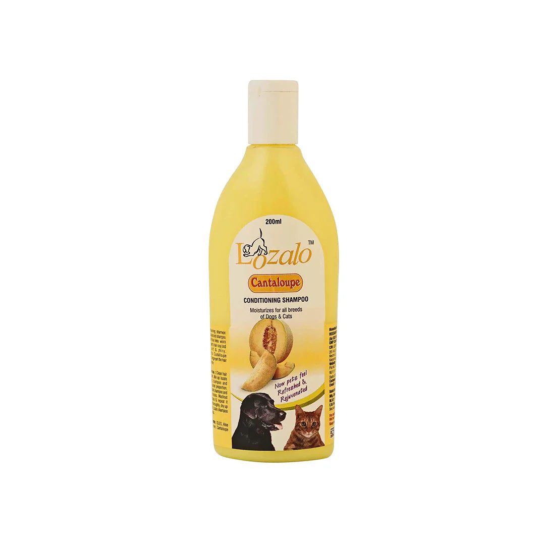 Lozalo Fruity Cantalope