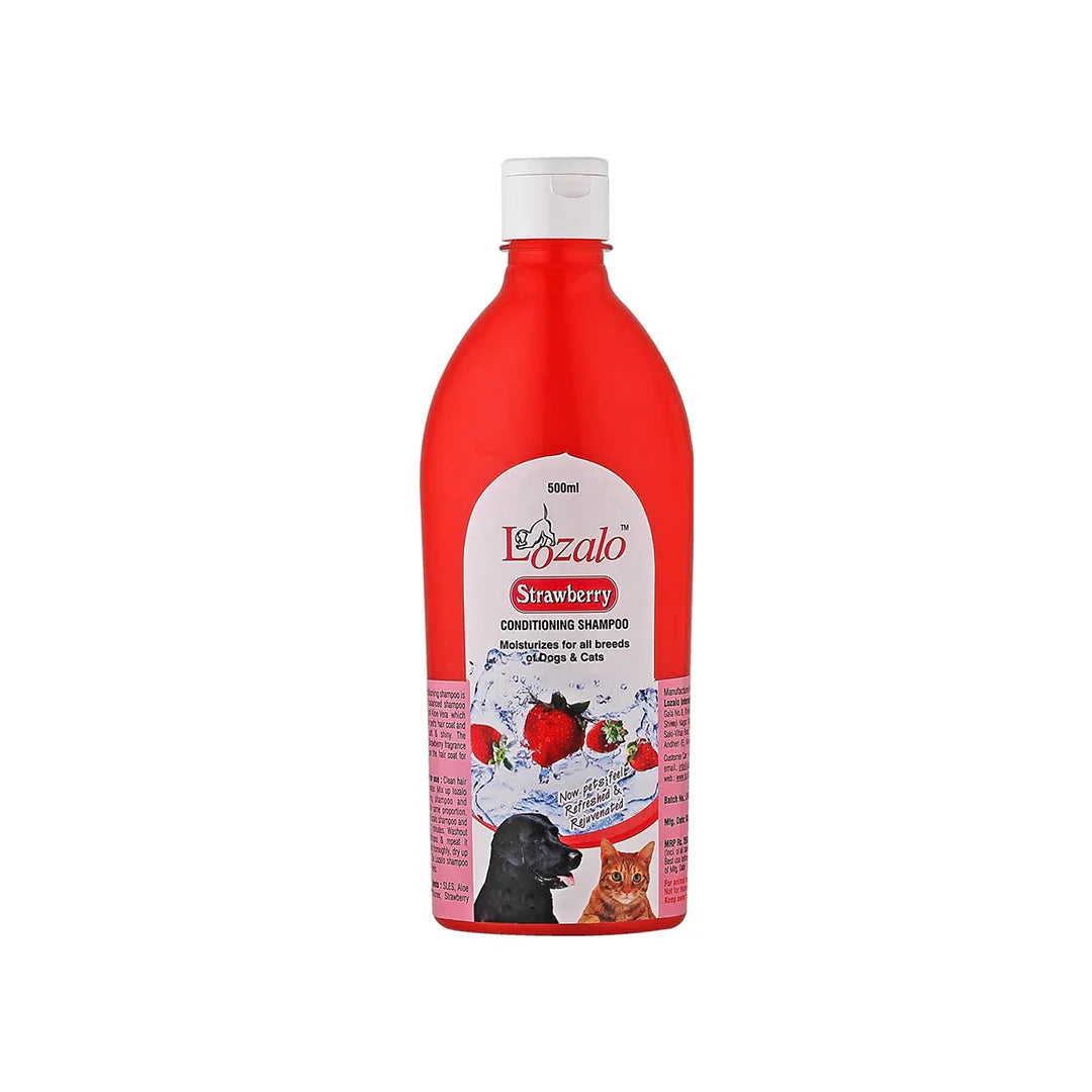 Lozalo Fruity Strawberry Shampoo