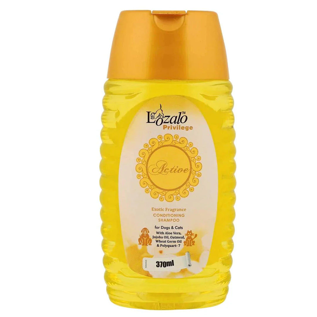 Lozalo Privilege Active