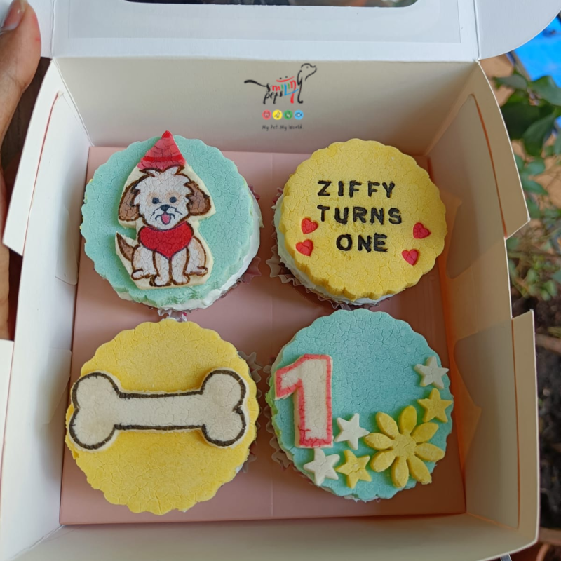 BIRTHDAY