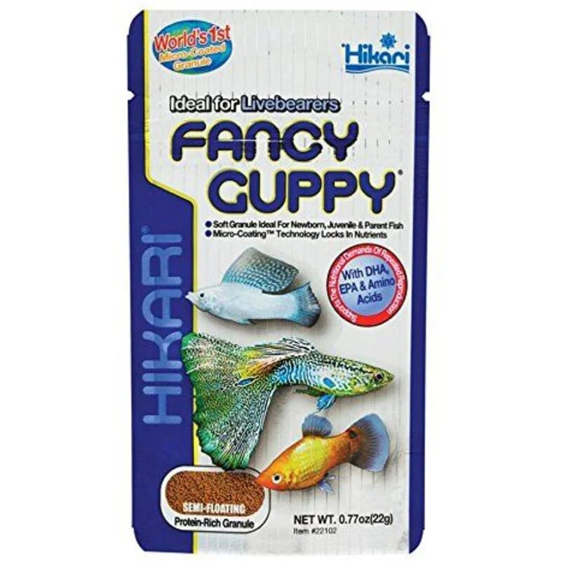 Hikari Fancy Guppy