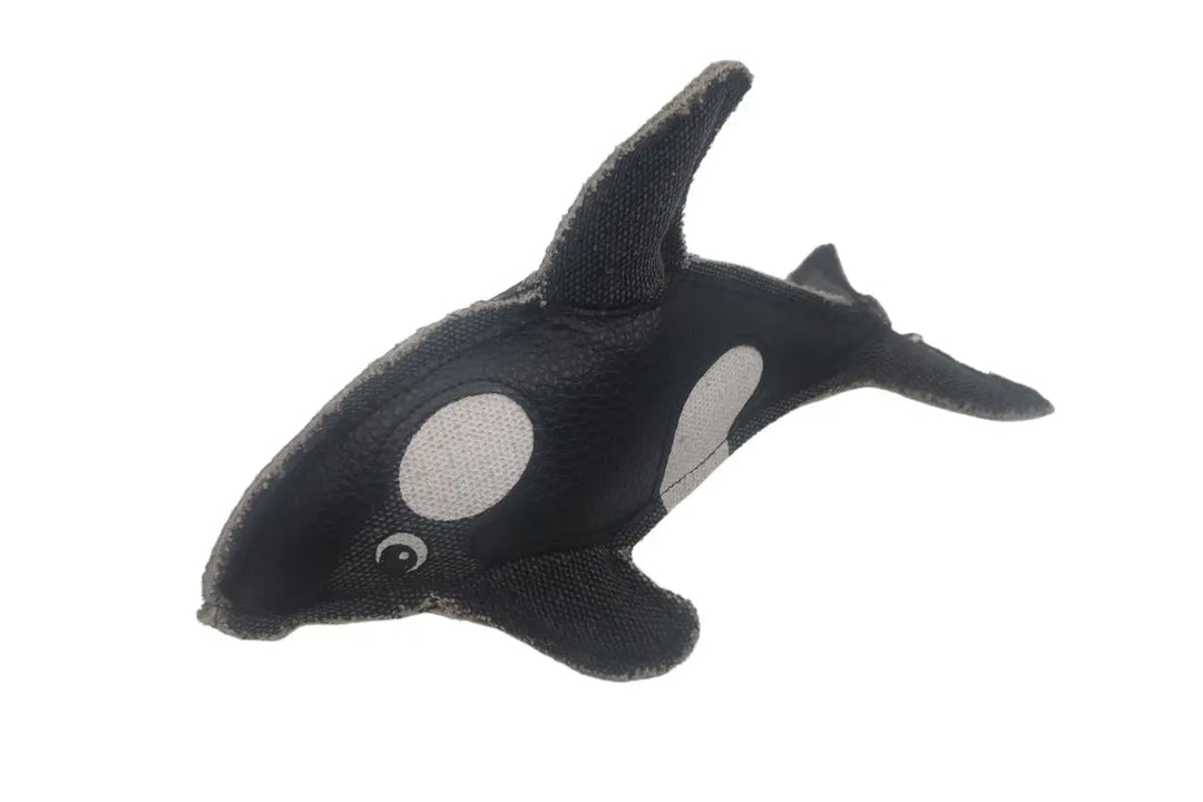 Nutrapet Ravishing Zebra Dog Toy
