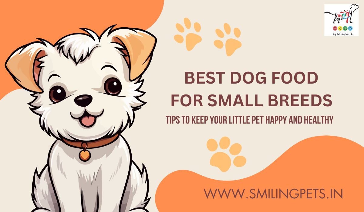 Best dog food for small breeds