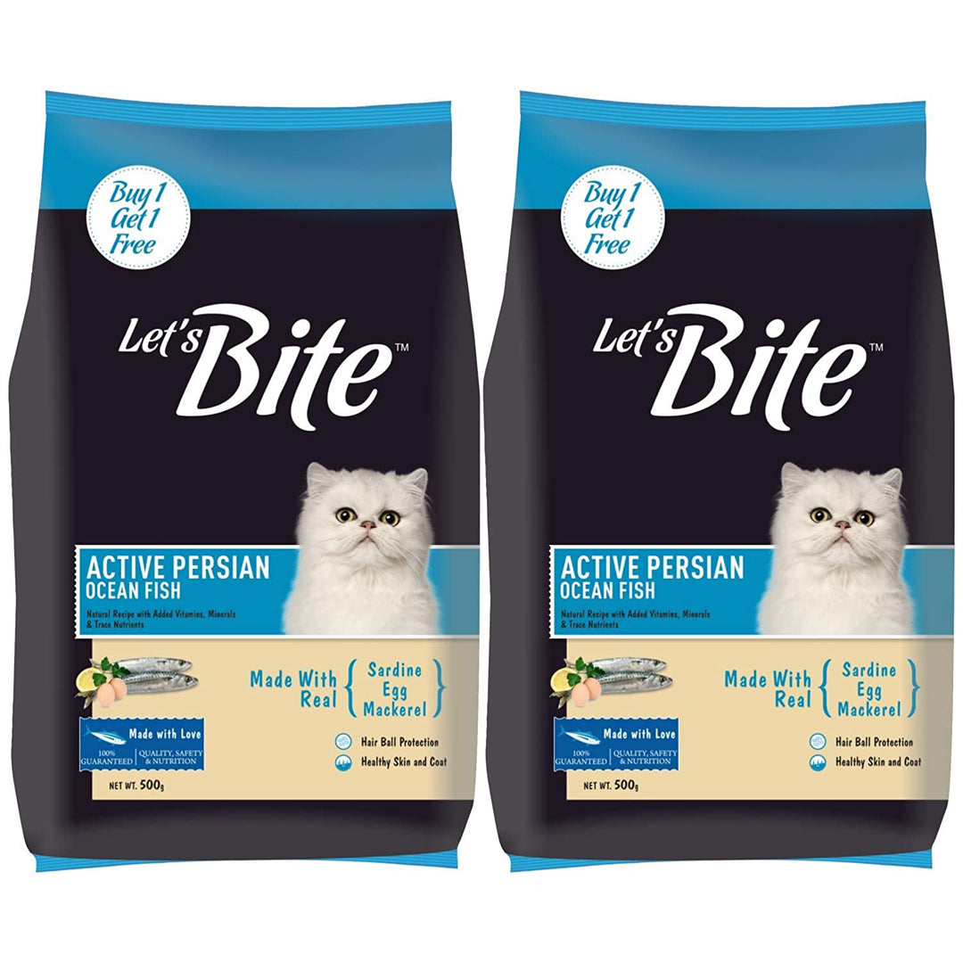 Kitten care guide