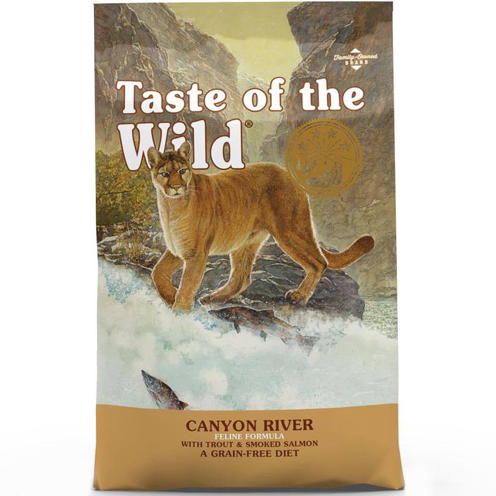Wet vs dry cat food