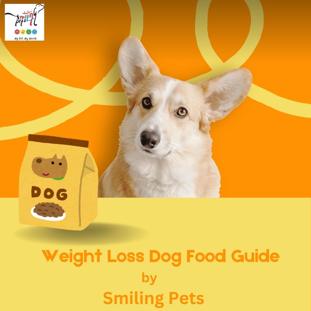 Weight Loss Dog Food