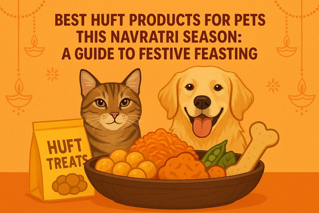 Best HUFT Products for Pets this Navratri Season: A Guide to Festive Feasting