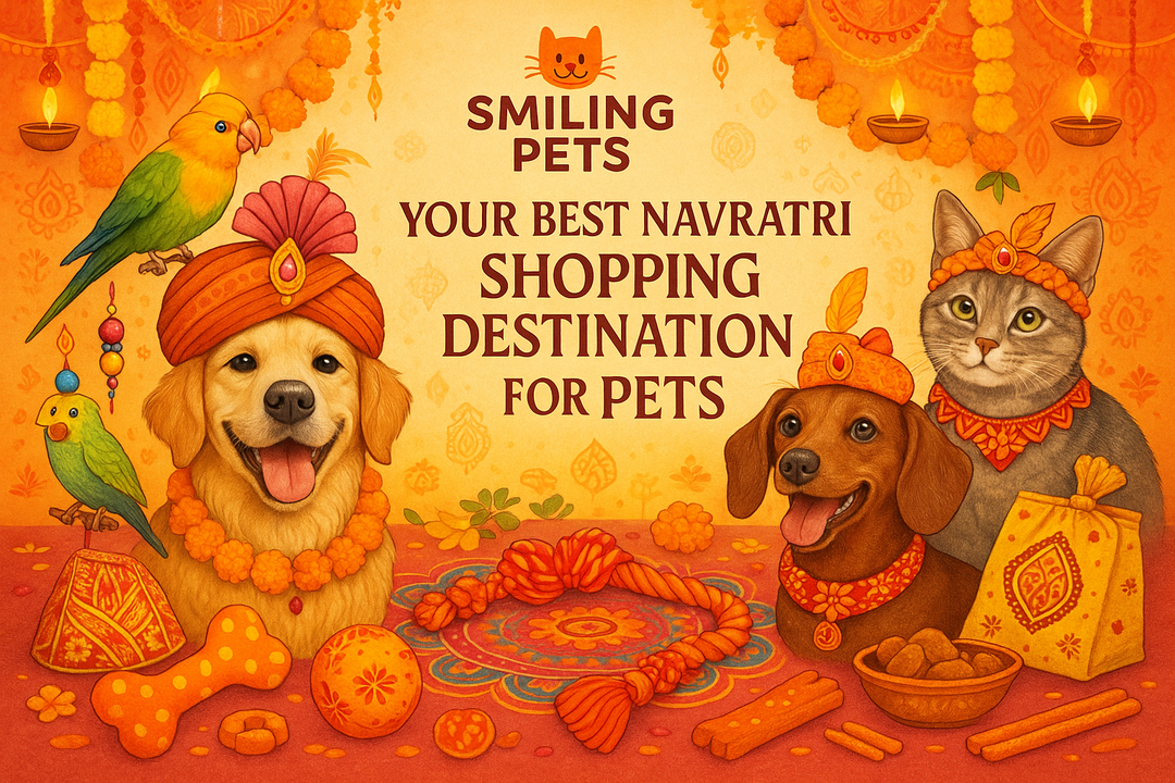 Why Smiling Pets is Your Best Navratri Shopping Destination for Pets