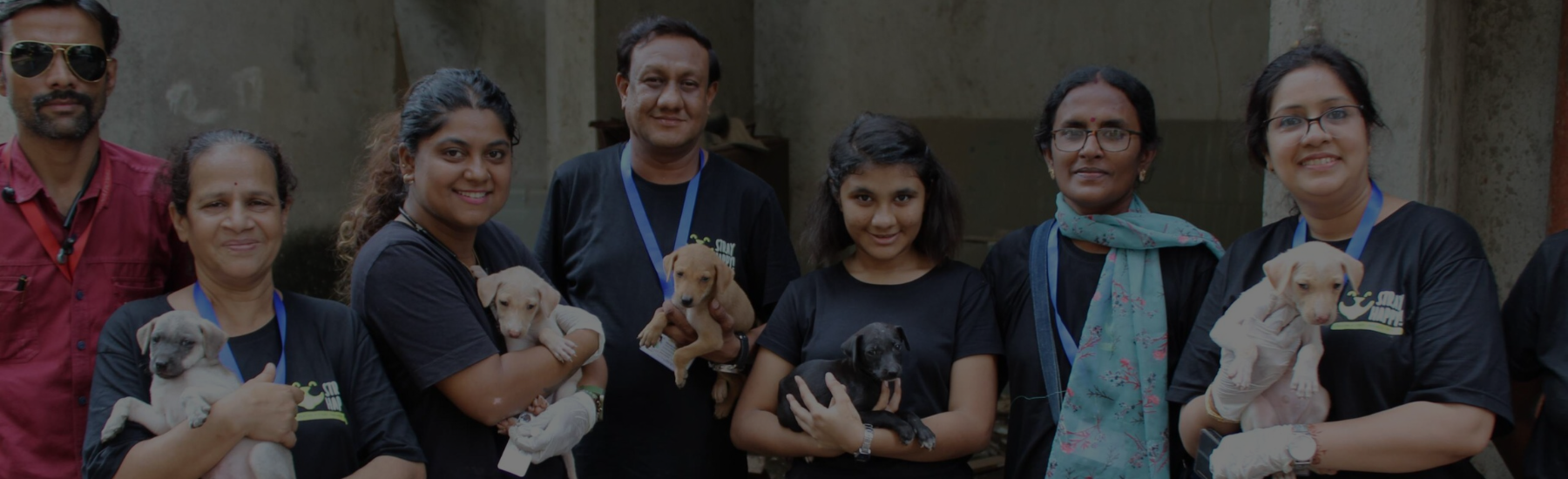 Stray Happy Animal Foundation