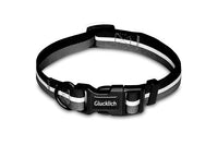 dog collar
