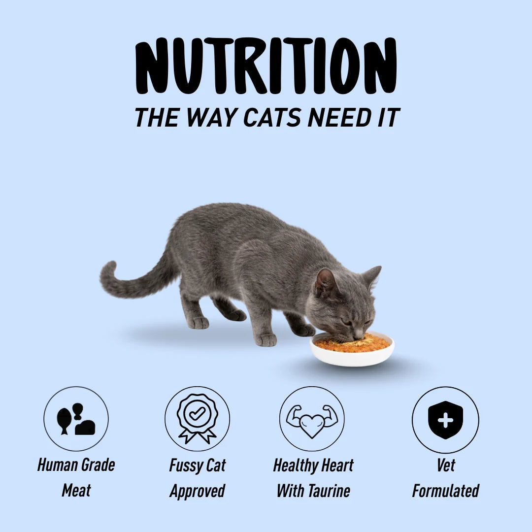 Homiee & Ginger Meow Meals human-grade cat food with taurine