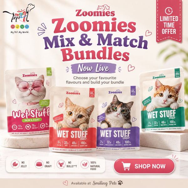 Zoomies Mix & Match