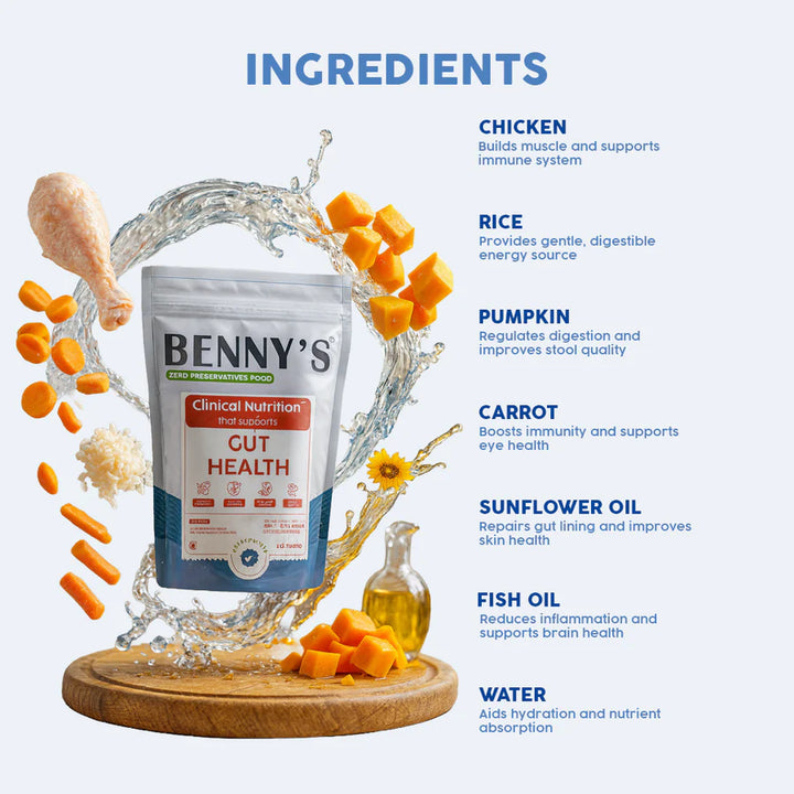 Benny's Bowl Clinical Nutrition for Gastrointestinal Issues Dog Wet Food