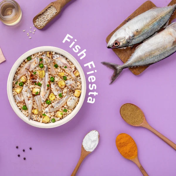 Homiee & Ginger fish recipe fresh food for dogs
