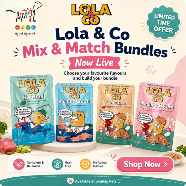 Lola & Co Mix & Match