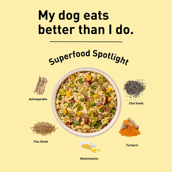 Homiee & Ginger Power Bowl human-grade chicken fresh dog food