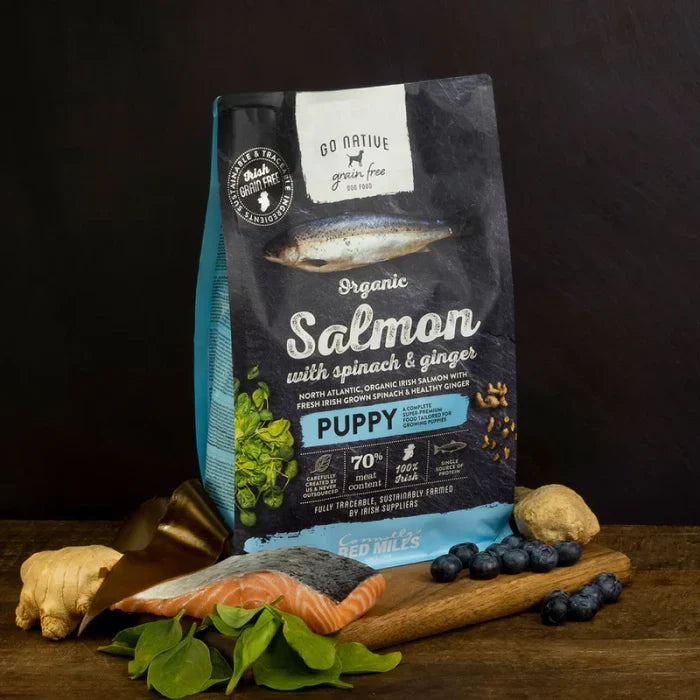 Go Native Puppy Salmon with Spinach & Ginger Dog Dry Food