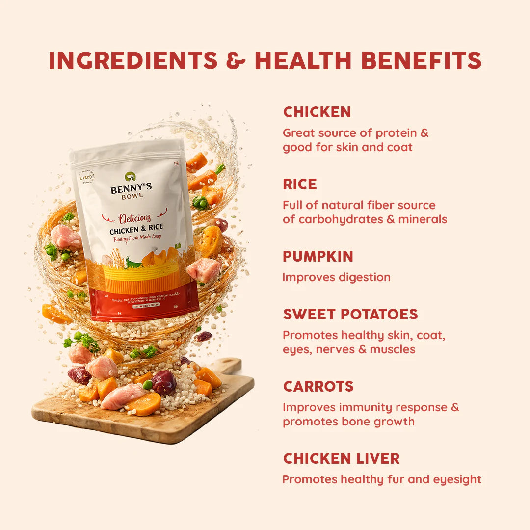 Bennys Bowl Chicken and Rice Dog Fresh and Wet Food