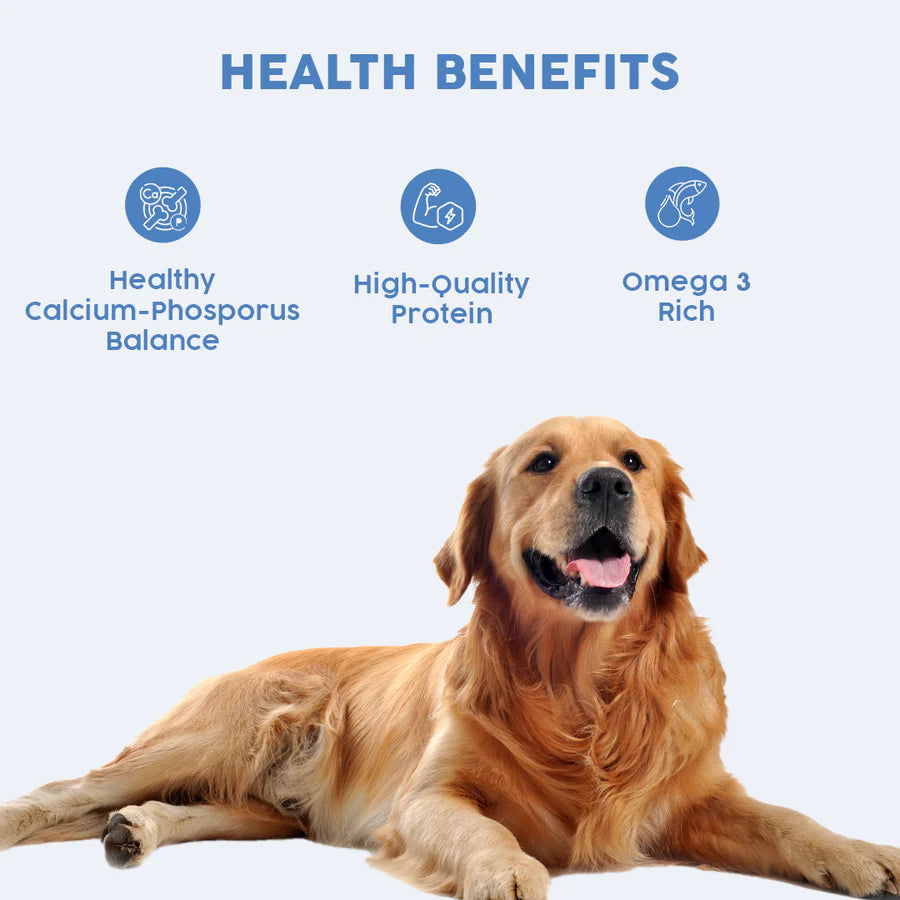 Benny's Bowl Clinical Nutrition for Renal Issues Dog Wet Food