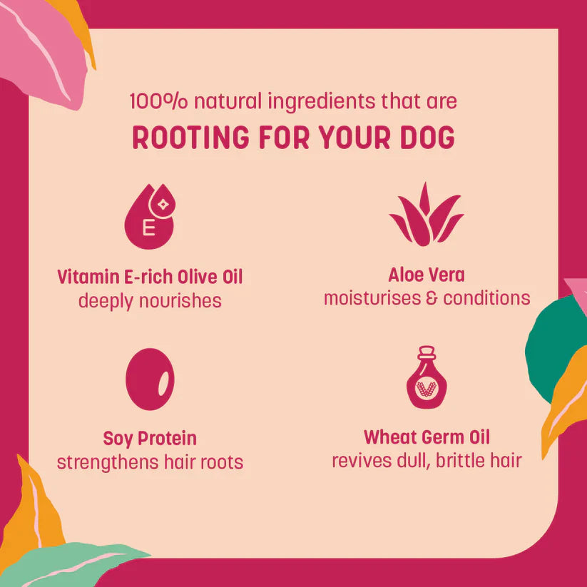 HUFT 4-in-1 Shampoo & Conditioner For Dogs