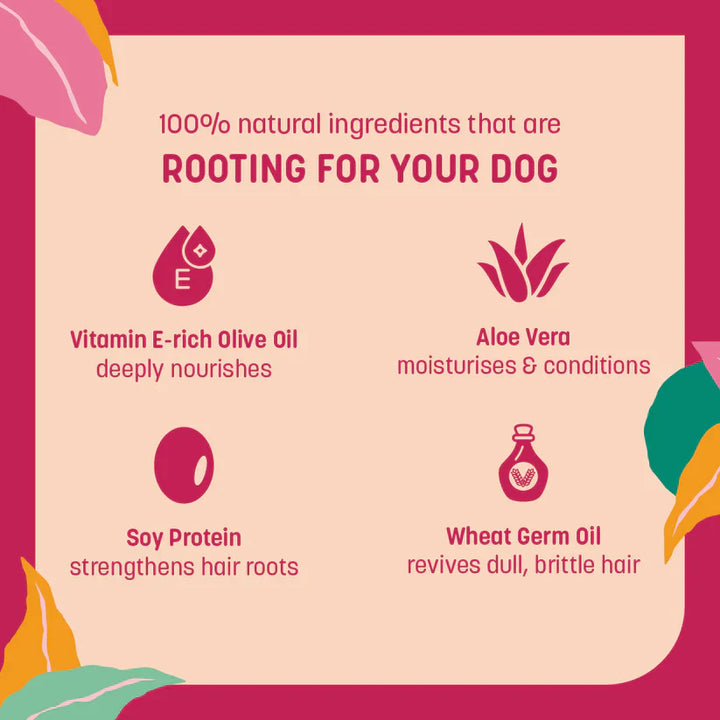 HUFT 4-in-1 Shampoo & Conditioner For Dogs