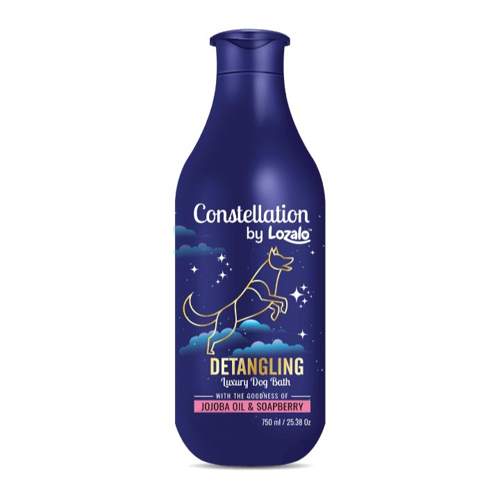Lozalo Constellation Detangling Shampoo