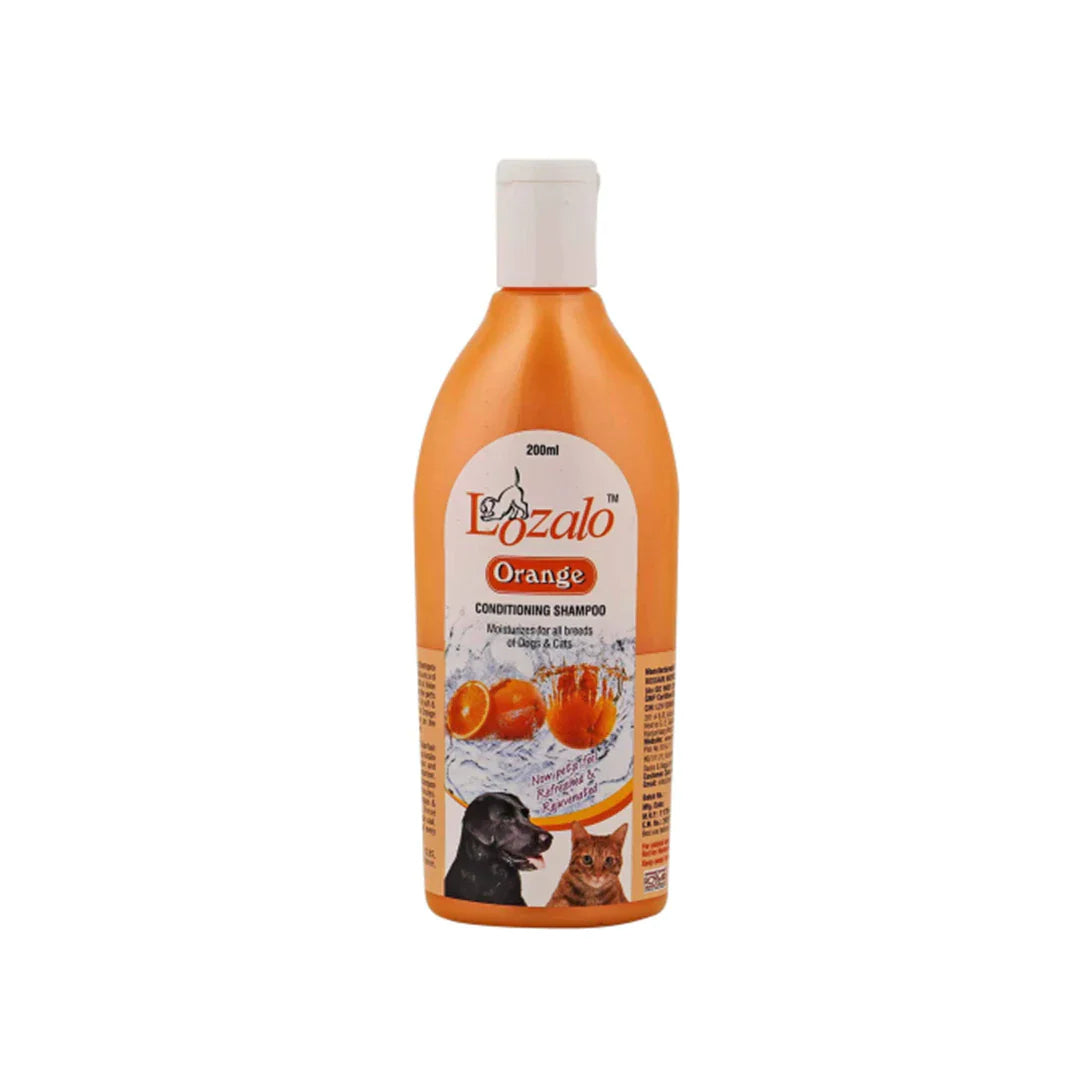 Lozalo Fruity Orange Shampoo