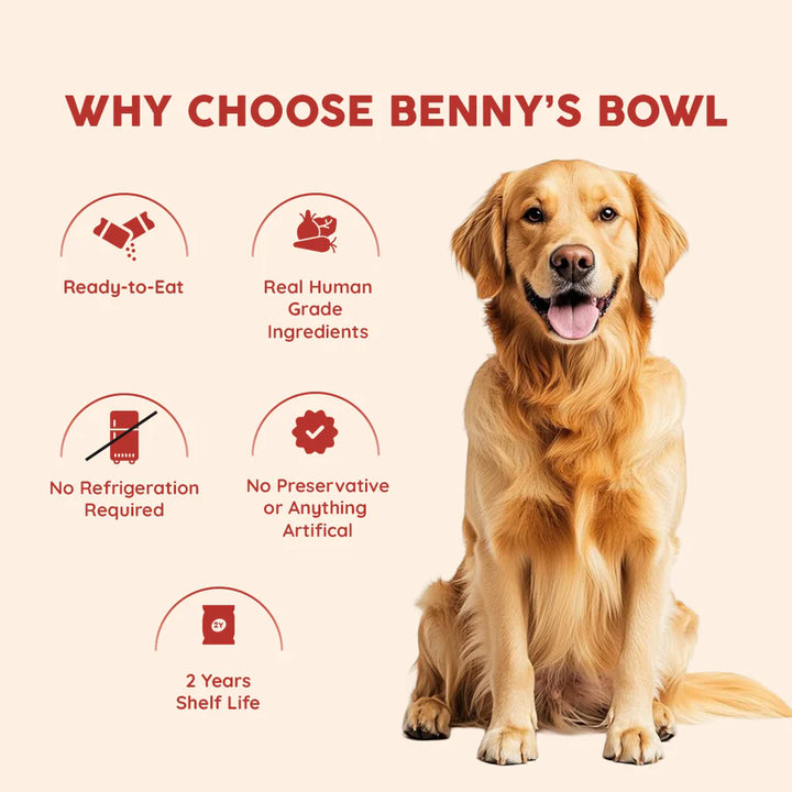 Bennys Bowl Paneer and Brown Rice Dog Fresh and Wet Food