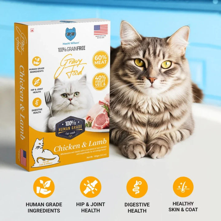 Hachi Wilson Premium Chicken & Lamb Cat Food  – Grain-Free Gravy Food for Adult Cats