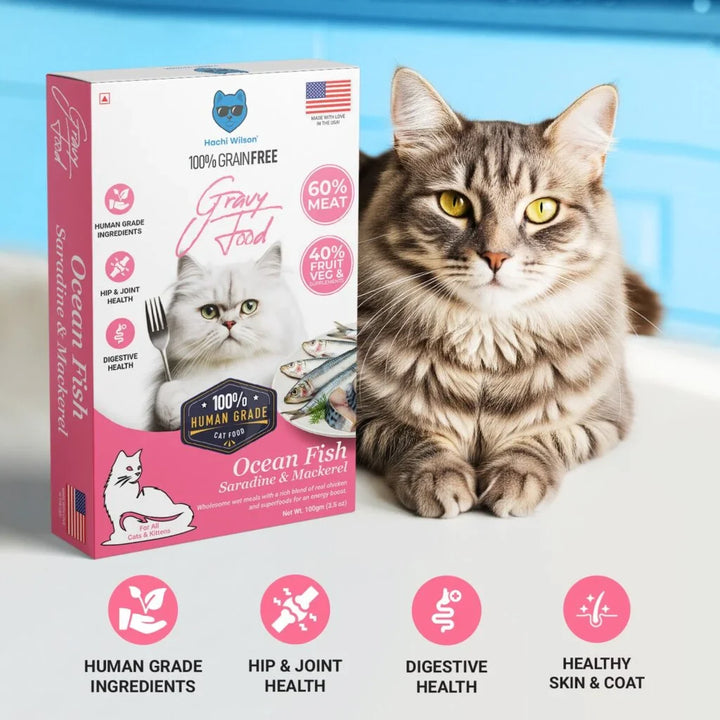 Hachi Wilson Premium Ocean fish Gravy Food for Cats – 100% Human-Grade, Grain-Free Cat Food