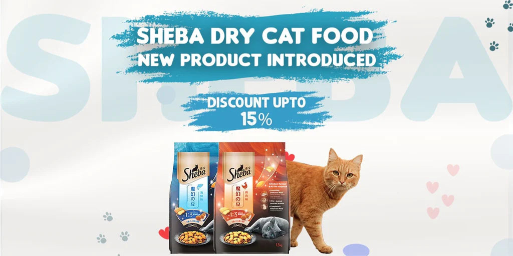 cat food offer