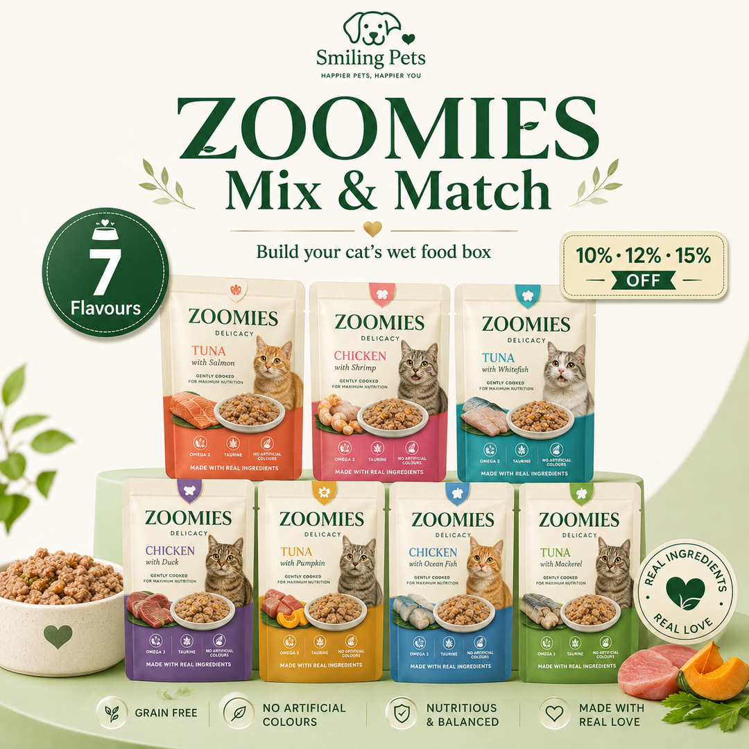 Zoomies Mix & Match