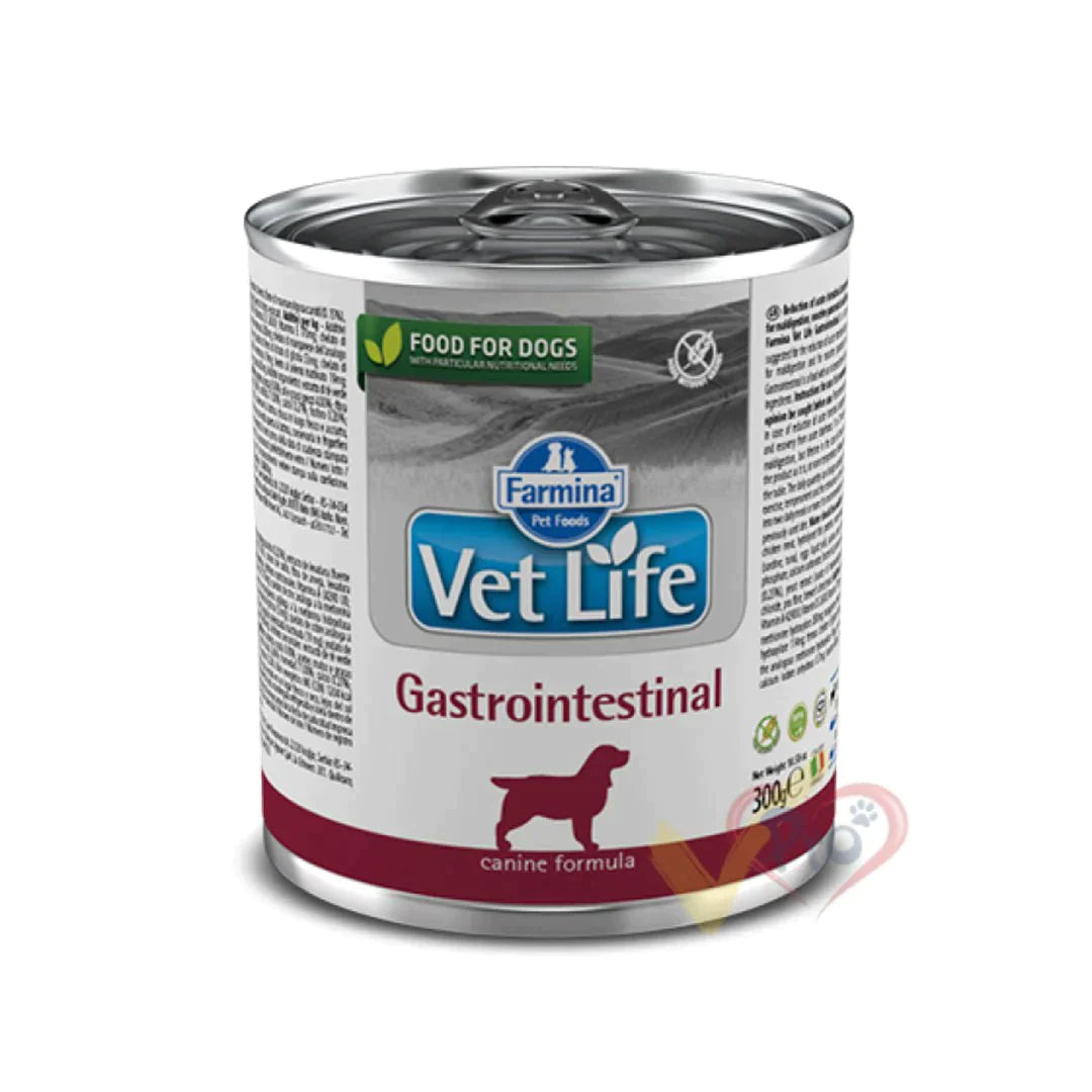 Stray Happy - Vetlife Gastrointestinal tin dog