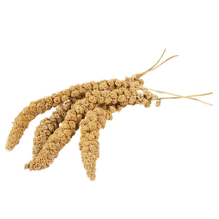 Country Millet Sprays