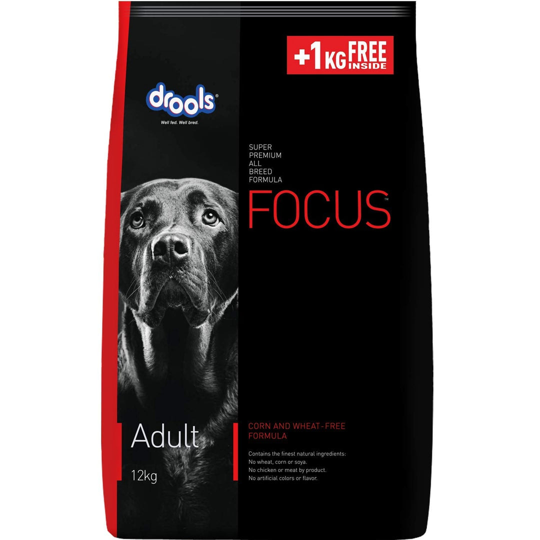 Drools Focus Super Premium