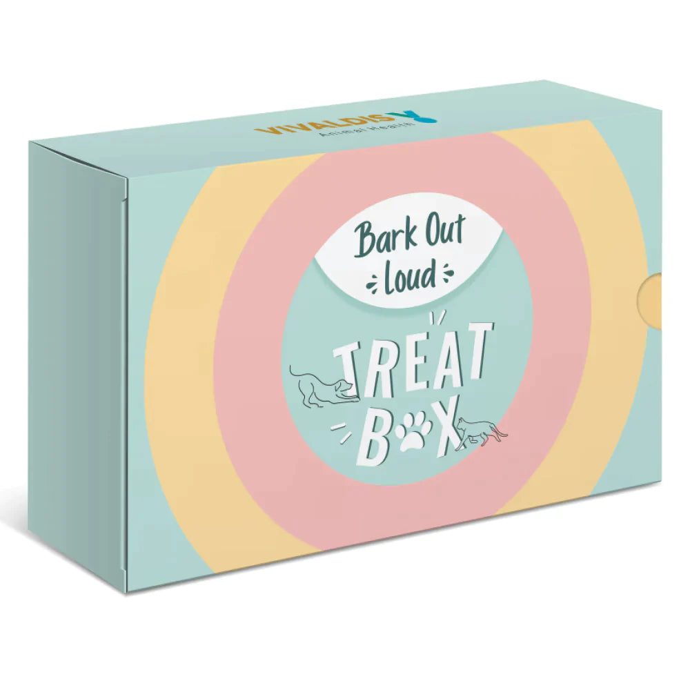 Bark Out Loud Treat Box for Dogs (Pack of 4)