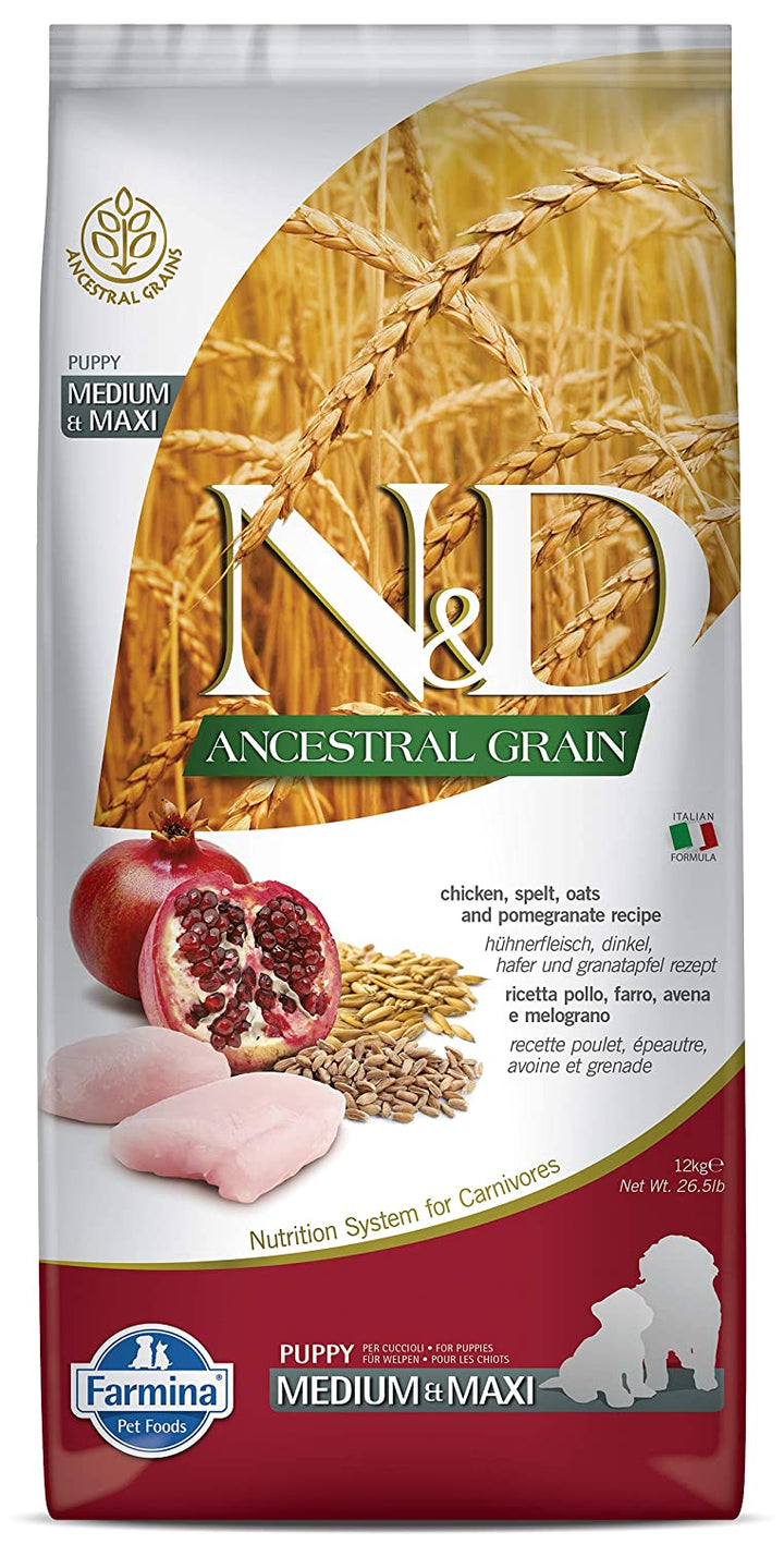 N&D Chicken & Pomegranate Ancestral Grain Adult Medium/Maxi