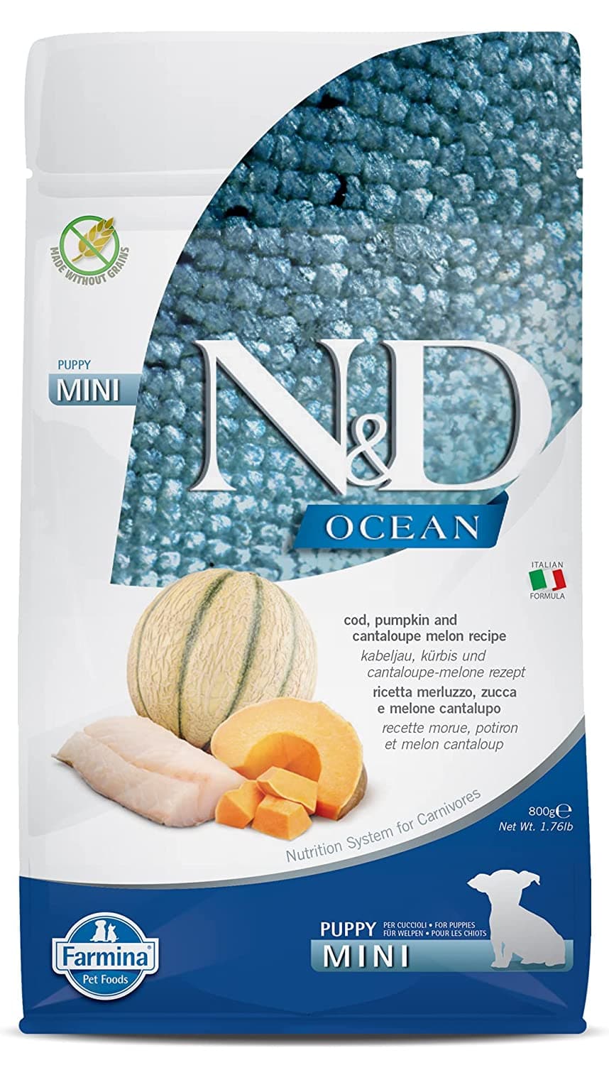 N&D Ocean Codfish, Pumpkin & Cantaloupe Melon Puppy Mini Dry Dog Food